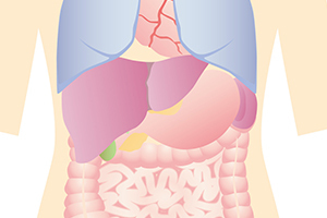 内臓の病気が原因で起こる腰痛
